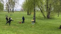 Frisbeegolfaaja heittää kohti koria keväisessä puistossa muiden seuratessa peliä.
