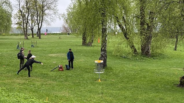 People playing disc golf on a green lawn surrounded by leafy trees.