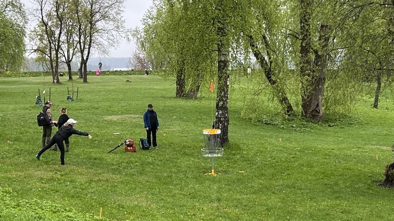 People playing disc golf on a green lawn surrounded by leafy trees.