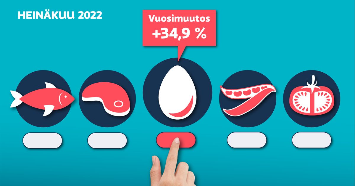yle.fi