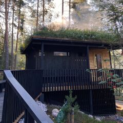 A dark coloured wooden building with smoke rising from its grassy roof, with the forest in the background.