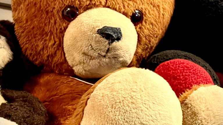 Puppe-nalle.