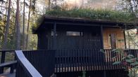 A dark coloured wooden building with smoke rising from its grassy roof, with the forest in the background.