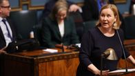 Kuvassa on henkilö puhumassa eduskunnan puhujapöntössä, taustalla näkyy muita eduskunnan istuntosalin jäseniä.