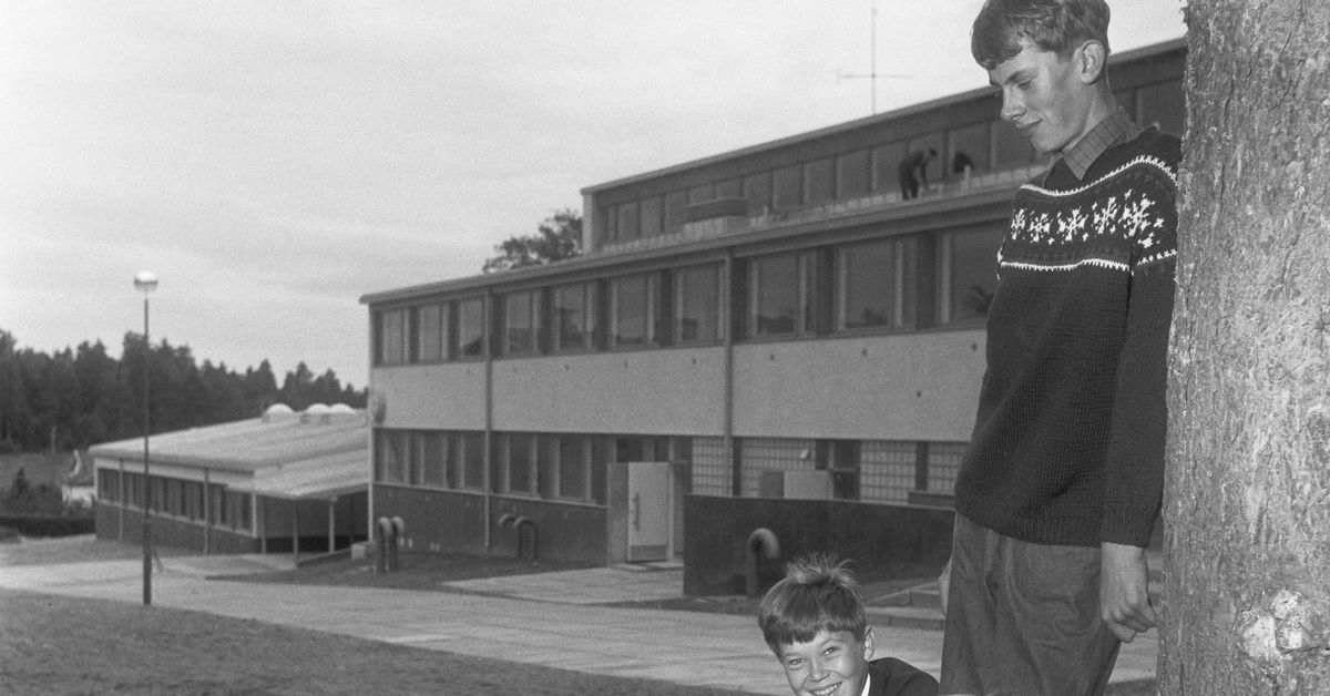 Raseborg planerar riva skola ritad av känd arkitekt | Västnyland ...