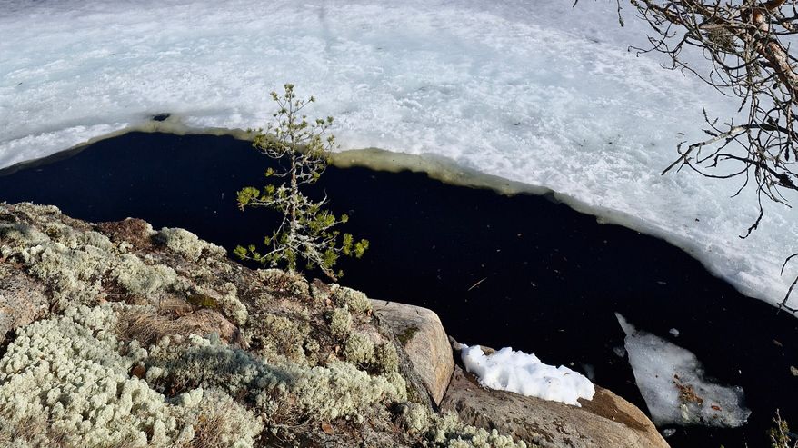 Kallioisen rannan alapuolelle on jäähän sulanut laaja avanto. Lahden vastarannalla on lehdettömiä puita.