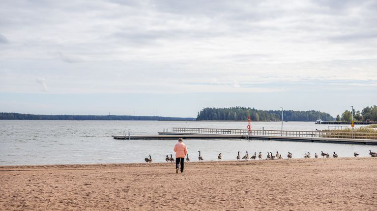 Tack vare Merita Bengts är badstranden Plagen idag en ren och fin sandstrand. Bild: Chanette Härus / Yle