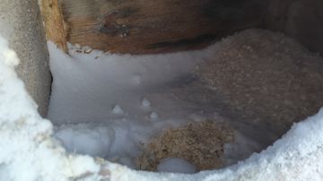 Ahdas ja huonokuntoinen koirankoppi, jossa ei ole kunnollissa säänsuojaa, vaan sisälle on satanut lunta.