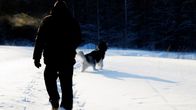 Ihminen ulkoiluttaa koiraansa aurinkoisessa pakkassäässä.