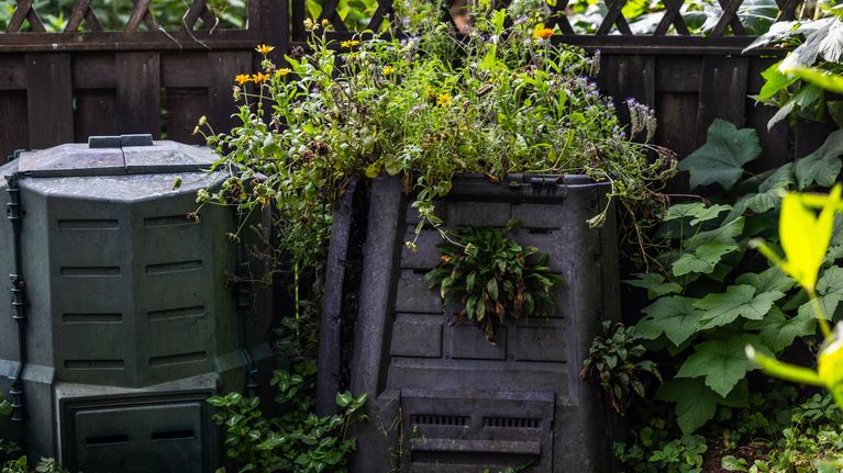 På Merita Bengts gård finns det två komposter: en vanlig och en som hon sått blomfrön i. Bild: Chanette Härus / Yle
