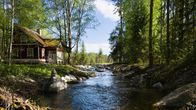 Laukaaseen on valmistunut Suomen uusin taimenpuro. Capeenpuro on kokonaan ihmisen rakentama luonnonmukainen virtavesi.