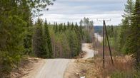 Metsämaiseman keskellä kiemurteleva soratie Kuhmossa. 