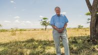 Attenborough seisoo savannilla.