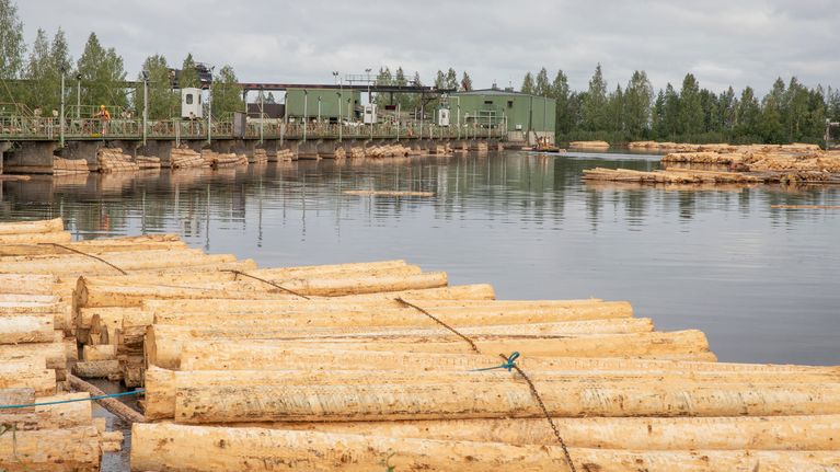 Tukkeja lilluu tukkialtaassa Stora Enson Kiteen sahalla pilvisenä päivänä.