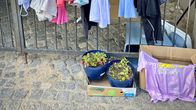 Porttikongin ristikkoaidassa roikkuu vaatteita siististi ripustettuna. Mukulakivikadulla portin edessä on kaksi isoa ruukkua, jossa on taimia. Vieressä pahvilaatikon reunalle on levitetty vaaleanpunainen t-paita.
