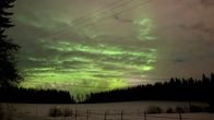Pilvinen vihreäksi revontulista värjääntynyt pilvinen taivas lumipeitteisen pellon yllä, jota reunustaa metsä.