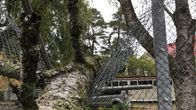 Myrsky katkoi puun Pyynikin Palomäentien kentälle torstaina.