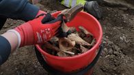 En person lägger benbitar i en röd hink medan en annan person arbetar vid en stenmur.