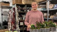 Riikka Jaakkola tekee istustuskoreja kukkakauppa Helmililjan takahuoneessa.