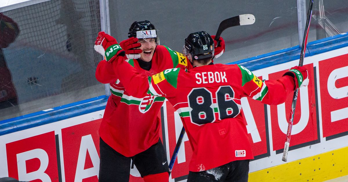 Unkarin SM-liigapelaajilta levoton haastattelu Leijonat-tappion jälkeen – ”Nukuitko hyvin laiskiainen?”