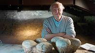 David Attenborough vie meidät 500 miljoonan vuoden matkalle tutustumaan nisäkkäiden kehitykseen.