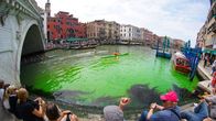 Vattnet nedanför Rialtobron i Venedigs Canal Grande har färgats grönt.
