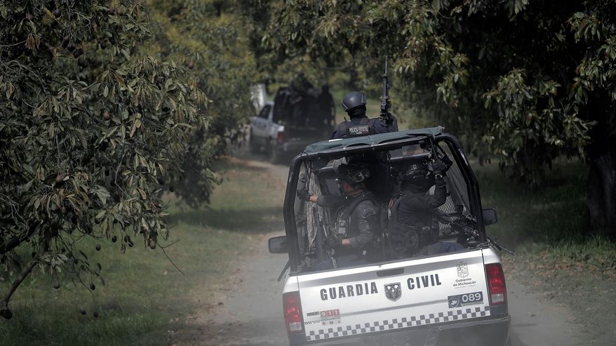 Guardia Civil övervakar avokadoplantager i Uruapan, Michoacan, Mexiko 7.2.2024 i kampen mot den organiserad brottslighet som är kopplad till avokadoodlingar.