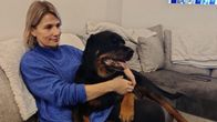 Satu Wärnhjelm ja hänen sankarikoiransa Carlos.