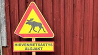 Kuvassa kaksi kolmionmuotoista varoitusmerkkiä, joissa toisessa on hirven kuva ja toisessa koiran kuva. Alla lukee hirvenmetsästys ja koiria vapaana.