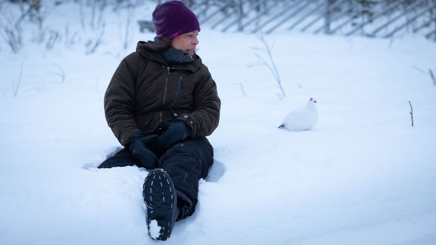 Nainen istuu lumihangella ja katsoo valkoista riekkoa lumisessa maisemassa. Takana näkyy poroaitaus ja mäntyjä.