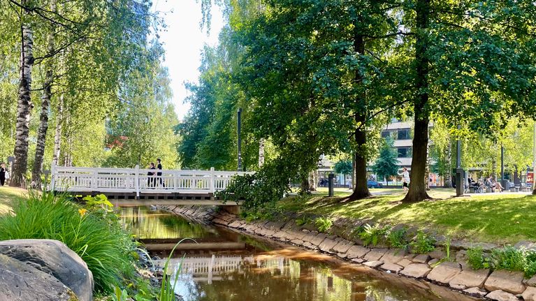 Oulun Plaanaoja Otto Karhin puiston eli "Letkunpuiston" kohdalla kesällä 2025.