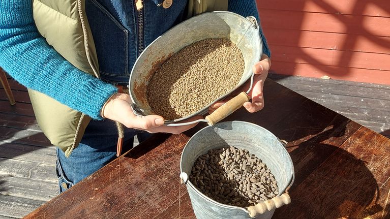 Kaksi sinkkisankkoa, joissa on erityyppistä pellettilannoitetta.