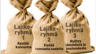 Erilaisia vehnän lajikeryhmiä, jotka sietävät erilaisia säätekijöitä.