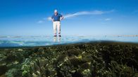 David Attenborough tutustuttaa kolmiosaisessa sarjassa Australian suuren valliriutan syntyyn, nykypäivään ja tulevaisuuteen.