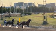 Kaksi ravivaljakkoa lämmittelee Vermon raviradalla ilta-auringossa. Takana näkyy Vermonniityn uusi kerrostaloalue.