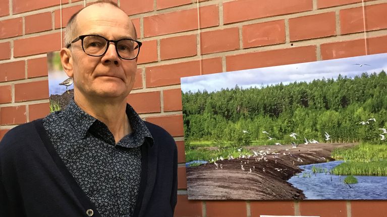 Tutkijamies seisoo kuvan vieressä, jossa on paljon lintuja rannalla.