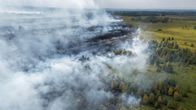 Rök stiger från en brinnande skog och gräsmark, medan gröna träd syns bredvid det eldhärjade området.