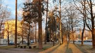 Tuomas Gerdtin nimikkopuisto Lappeenrannan Lauritsalassa.