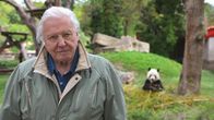 Brittiläisessä dokumenttisarjassa Sir David Attenborough tutustuu lajeihin, jotka hämmästyttävät ja ihastuttavat erikoisuudellaan. 