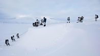 Amerikanska och danska specialtrupper tillsammans i snöklädda landskap på Grönland. 