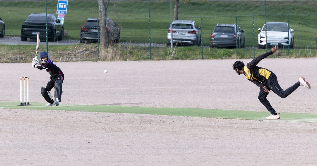 Espoo to build a temporary cricket ground as the sport’s popularity grows in Finland | Yle news