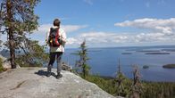 Koli.