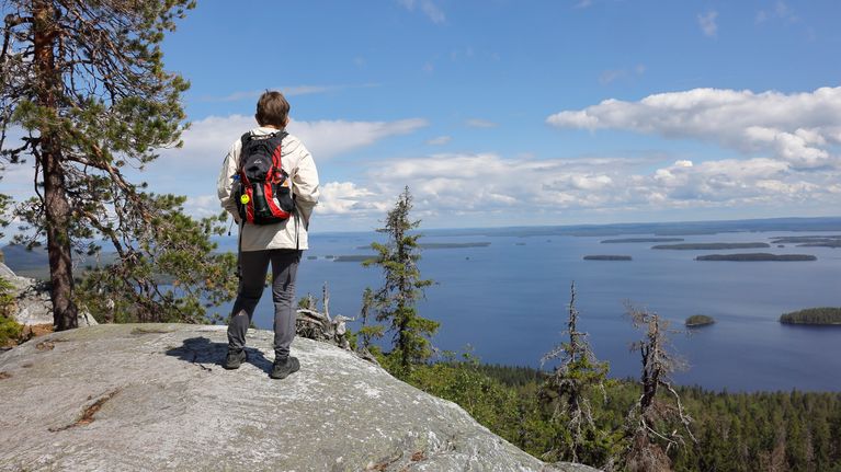 Koli.