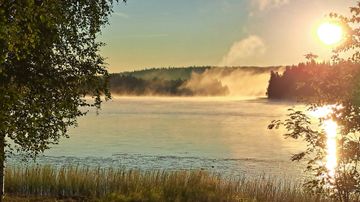 Järvimaisema aamulla, rantakasvillisuutta, sumua veden yllä ja aurinko nousemassa metsän takana.