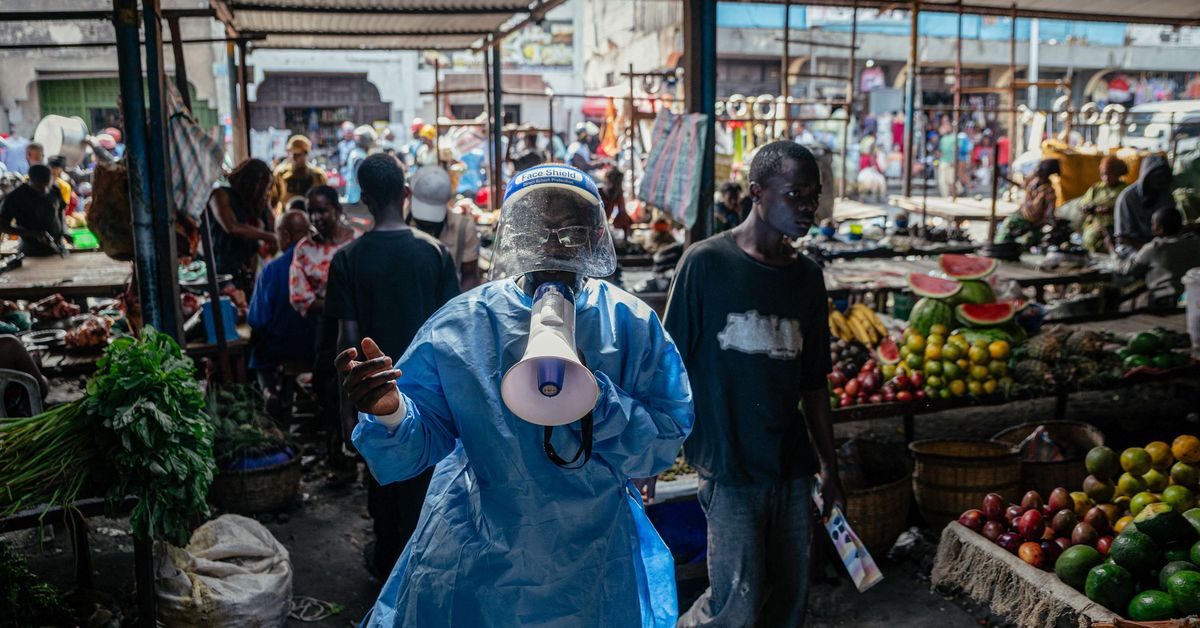 Ebolakrisen: Tester missade rätt virustyp – Varför?