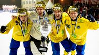 Sveriges herrlag jublar över segern i VM.