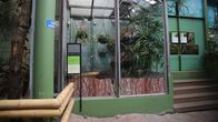 Pedro-boan tyhjillään oleva terrario Korkeasaaressa