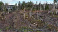 Ilmakuvaa avohakkuualueesta Nastolan Ruuhijärvellä.
