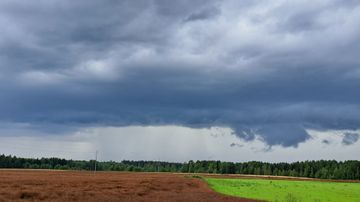 Tummat pilvet peittävät taivaan peltojen yllä, taustalla metsäkaistale.