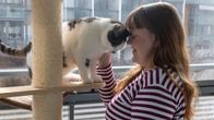 Henkilökuvassa medianomi Taru Kyllönen rapsuttaa kissaa asuntonsa parvekkeella.
